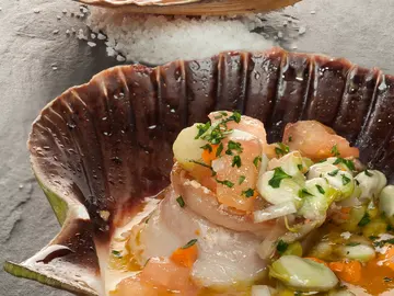 Vieira con habitas y panceta Vieira con habitas y panceta