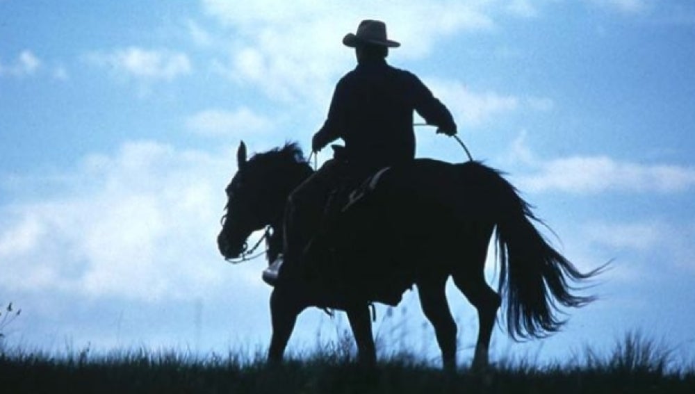 El hombre que susurraba a los caballos