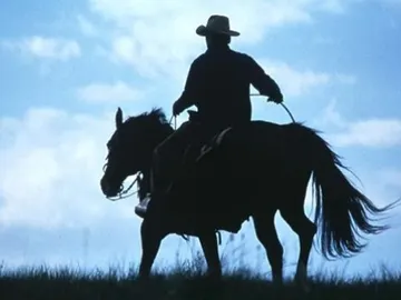 El hombre que susurraba a los caballos El hombre que susurraba a los caballos