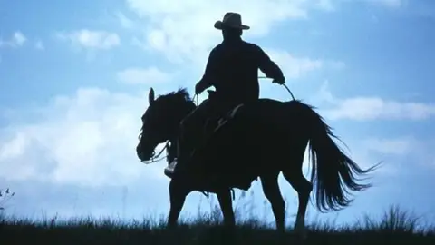 El hombre que susurraba a los caballos El hombre que susurraba a los caballos