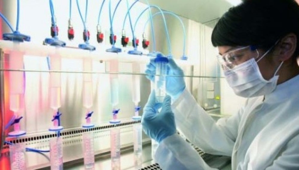 Investigan un medicamento para combatir la esclerosis múltiple