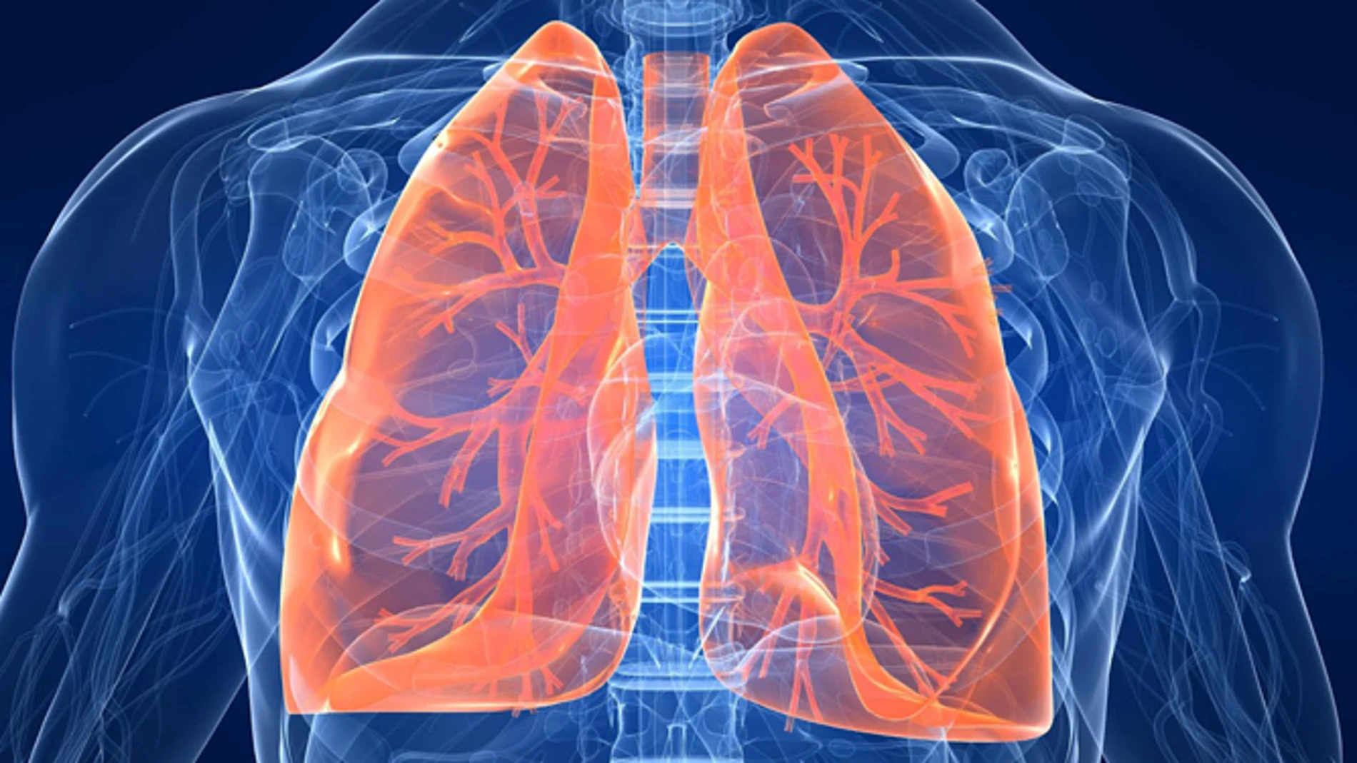 La fibrosis pulmonar