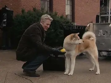 Hachiko, siempre a tu lado Hachiko, siempre a tu lado