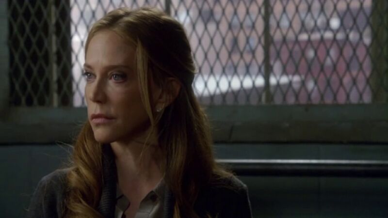 Uno de los ex socios de Stabler se une a SVU como Ada