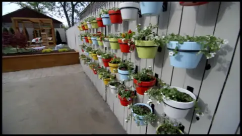 Un nuevo jardín con todo tipo de lujos Un nuevo jardín con todo tipo de lujos