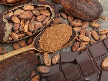 El cacao El cacao