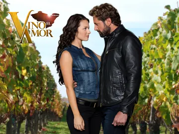 Telenovela. Vino el amor Telenovela. Vino el amor