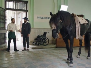 Frame 20.577777 de: Un vasco vestido de corto montando a caballo y diciendo "me da coraje" Frame 20.577777 de: Un vasco vestido de corto montando a caballo y diciendo "me da coraje"