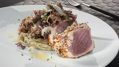 Bomito con costra de miso y hummus de cáñamo Bomito con costra de miso y hummus de cáñamo