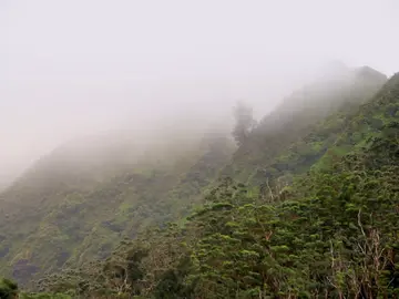 El agua, un bien muy valorado en el paraíso de la desconexión total El agua, un bien muy valorado en el paraíso de la desconexión total