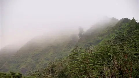 El agua, un bien muy valorado en el paraíso de la desconexión total El agua, un bien muy valorado en el paraíso de la desconexión total
