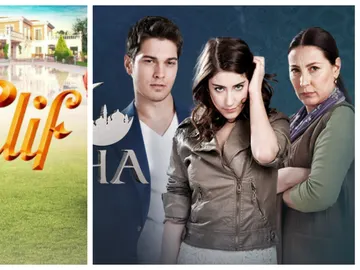Elif y El Secreto de Feriha Elif y El Secreto de Feriha