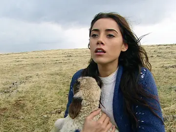 Sila se mete en un campo de minas Sila se mete en un campo de minas