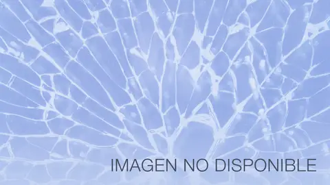 Imagen no disponible Imagen no disponible