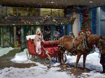 Navidades Nova Navidades Nova