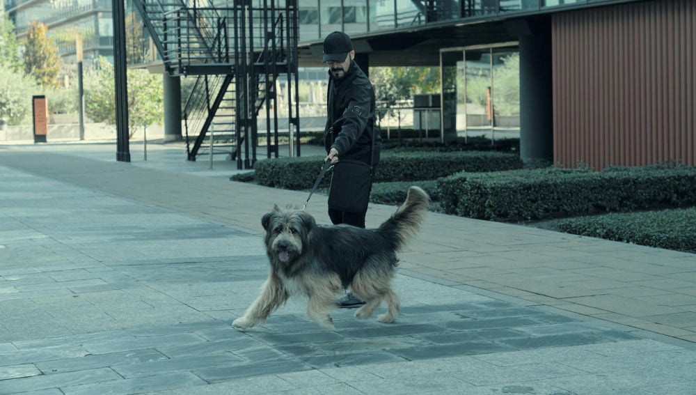 Chico, el perro capaz de percibir a los geonestésicos