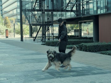 Chico, el perro capaz de percibir a los geonestésicos Chico, el perro capaz de percibir a los geonestésicos