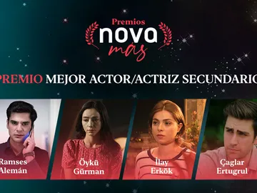 Premio al mejor actor/actriz secundario Premio al mejor actor/actriz secundario