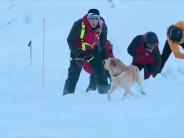 El tiempo se acaba: ¿encontrarán a la mujer sepultada en la nieve? El tiempo se acaba: ¿encontrarán a la mujer sepultada en la nieve?