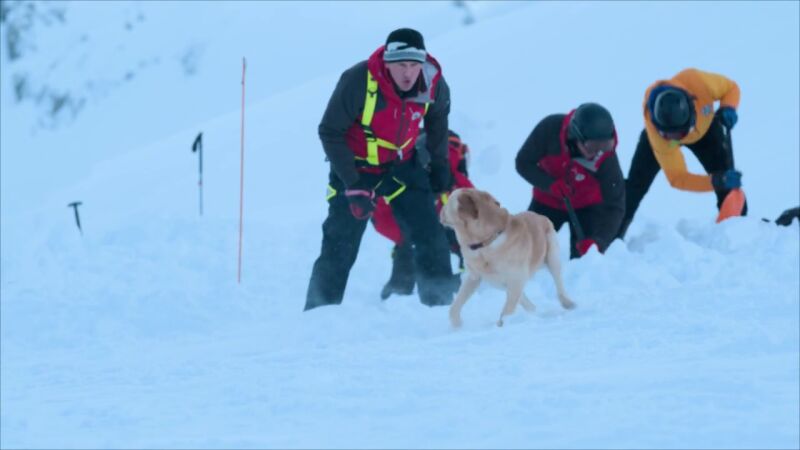 El tiempo se acaba: ¿encontrarán a la mujer sepultada en la nieve?