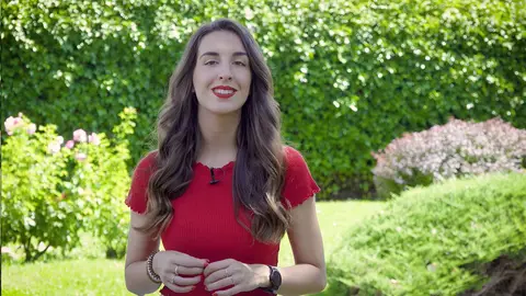 Curiosidades sobre Paramparça Paramparça. Vidas cruzadas