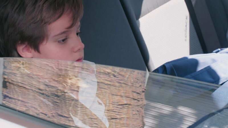 Asuntos sociales se lleva a Tadeo