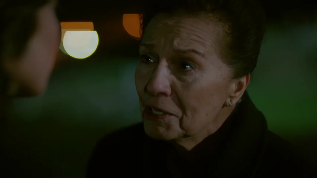 Meryem se enfrenta a la madre de Oktay contándole toda la verdad Meryem se enfrenta a la madre de Oktay contándole toda la verdad