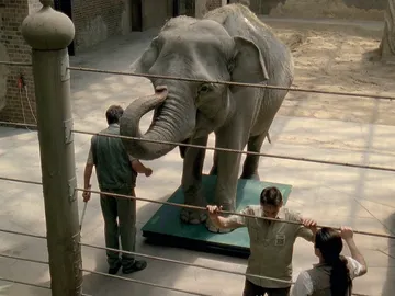 Elefanta Mia Elefanta Mia