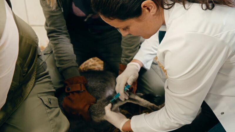 La doctora Susanne hace un tac al pequeño Leni después de que la medicación no le funcione