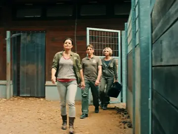 La doctora Mertens visita a una cebra, mientras Jonas tiene la oportunidad de su vida La doctora Mertens visita a una cebra, mientras Jonas tiene la oportunidad de su vida