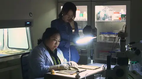 Hay que investigar el diario Saimdang