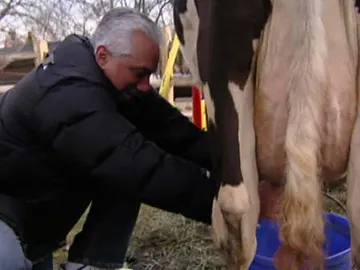 Mozzarella casera Mozzarella casera