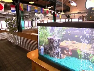 Nueva decoración para el Jack's Nueva decoración para el Jack's