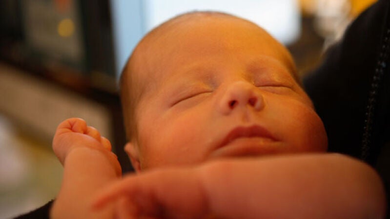 'Un bebé por minuto' también en Internet