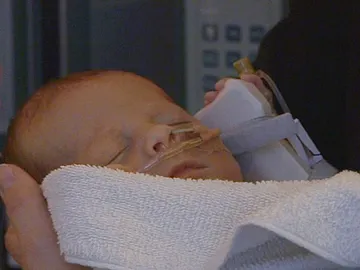 Jack vuelve a casa Jack vuelve a casa