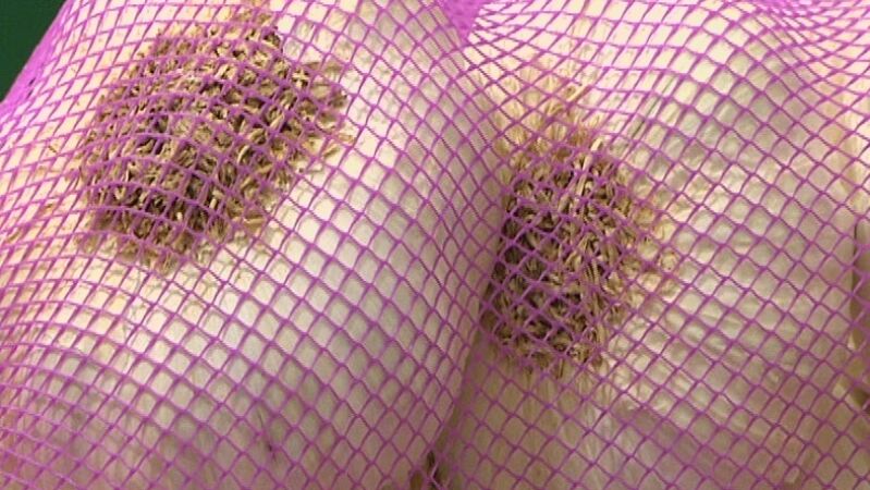 Ingredientes: Porrusalda riojana 