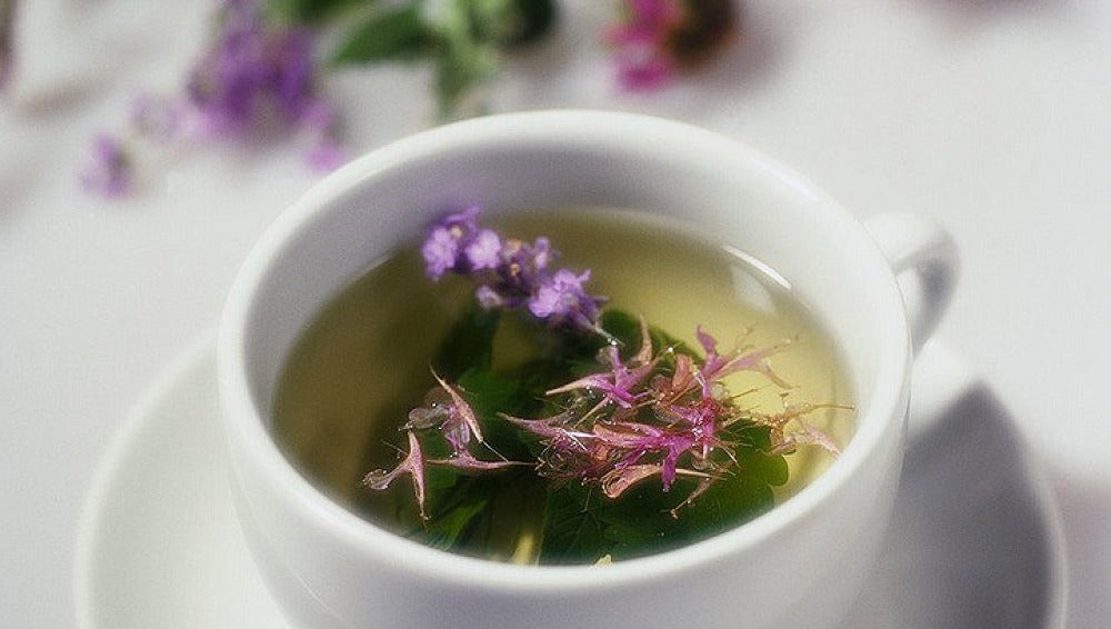 Infusión