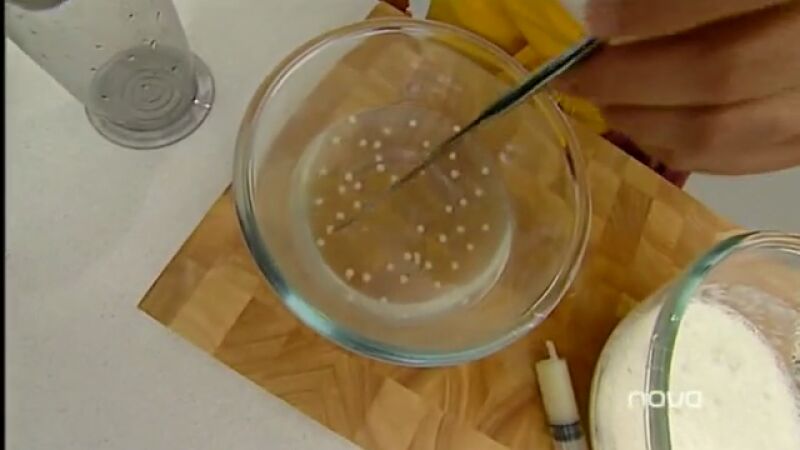 El caviar en el melón