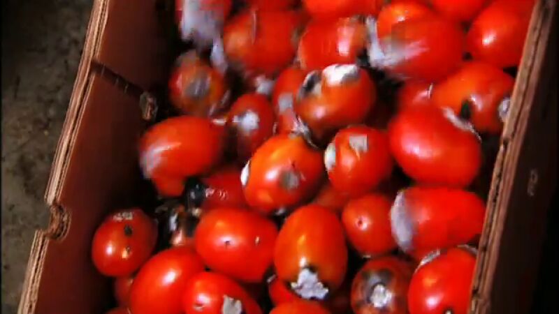 La comida está en mal estado