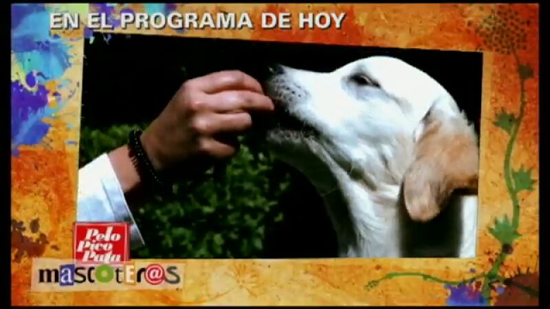 NOVA estrena PeloPicoPata -edición Mascoteros- 