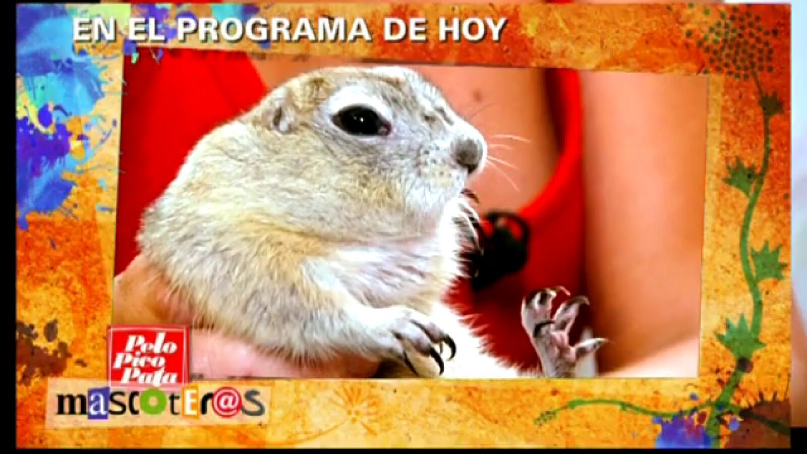 Una familia y su particular zoo en casa