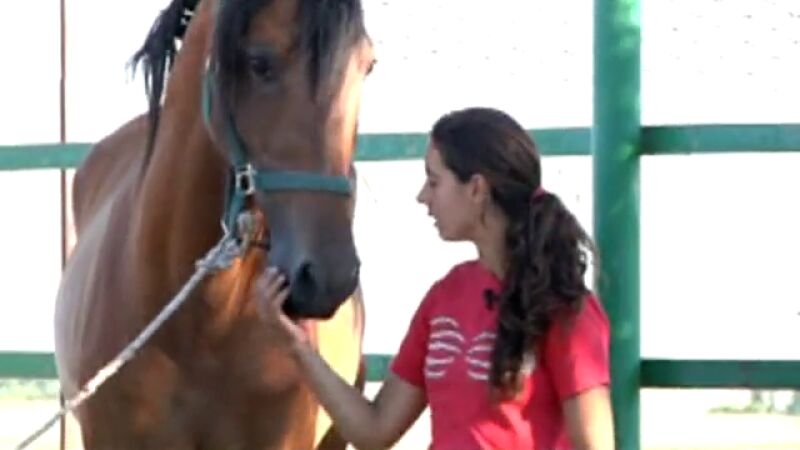 La chica que susurraba a los caballos