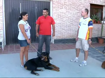 PELOPICO PATA EDICIÓN MASCOTEROS PELOPICO PATA EDICIÓN MASCOTEROS