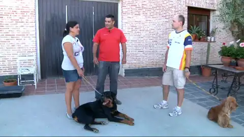 PELOPICO PATA EDICIÓN MASCOTEROS PELOPICO PATA EDICIÓN MASCOTEROS