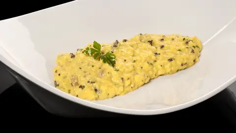 revuelto revuelto