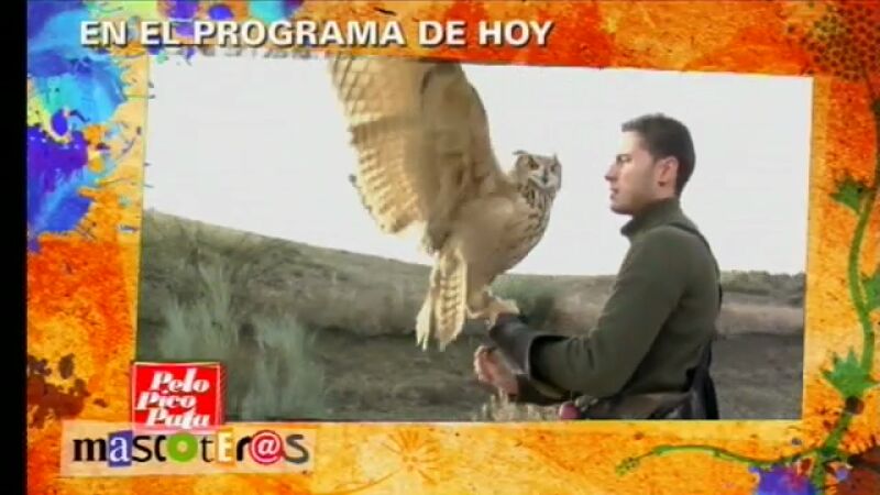 Llega la segunda temporada de 'Pelopicopata -Edición Mascoteros'