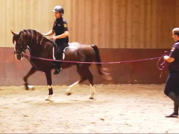Soy caballo, y soy policía Soy caballo, y soy policía