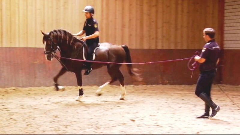 Soy caballo, y soy policía