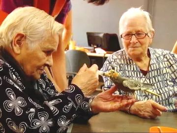 Terapia para ancianos Terapia para ancianos