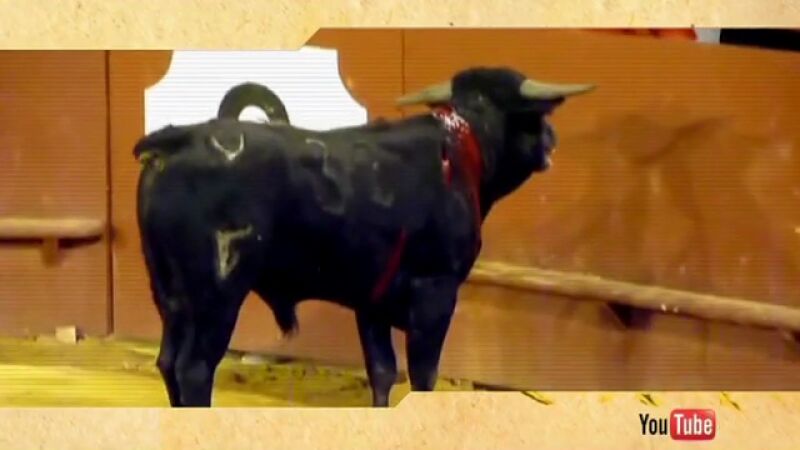 Abolición de la tauromaquia